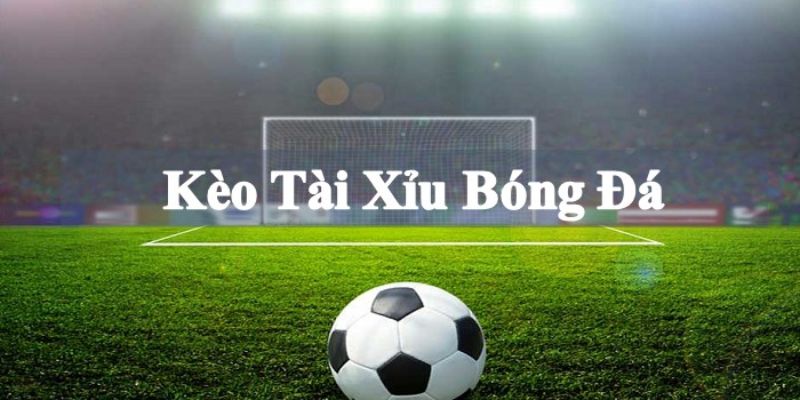 Tài Xỉu 1 Trái Và Những Bí Kíp Kiếm Lời Hiệu Quả Nhất