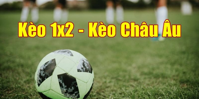 Cách xem cược 1x2 cho newbie