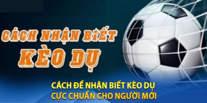 Cách nhận biết kèo dụ đơn giản, dễ dàng cho người mới