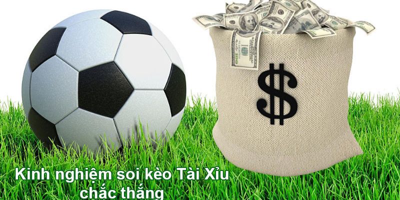 Lực lượng đội hình và các yếu tố ngoài lề