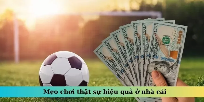 Kinh nghiệm tham gia kèo 1/2 giúp bet thủ thắng lớn