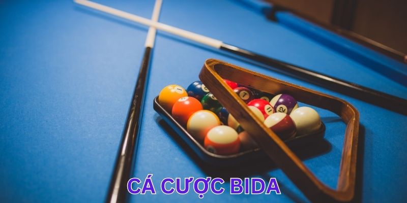 Cá cược bida là gì?