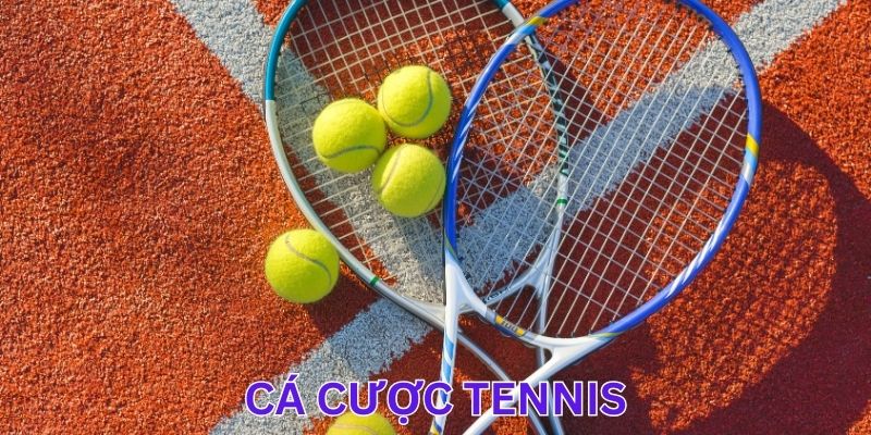 Cá Cược Tennis - Bí Quyết Giúp Anh Em Thắng Lớn Khi Tham Gia