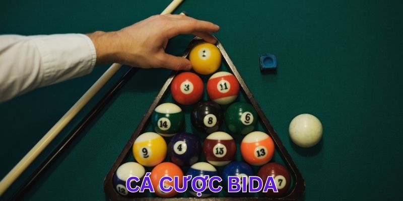Cập nhật tin tức và xu hướng cá cược