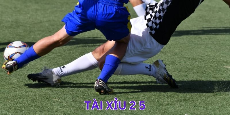 Kinh nghiệm chơi tài xỉu 2 5 giúp bet thủ thắng lớn
