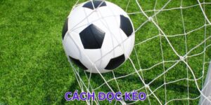 Cách Đọc Kèo Cơ Bản Mọi Bet Thủ Cần Nắm Khi Giải Trí Mỗi Ngày