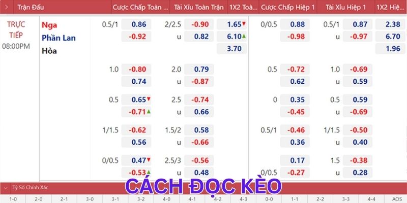 Cách đọc kèo cơ bản mọi bet thủ cần nắm