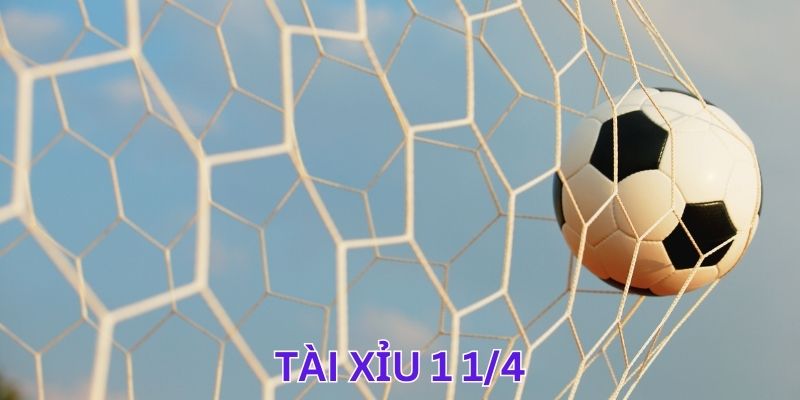 Tài xỉu 1 1/4 là gì?