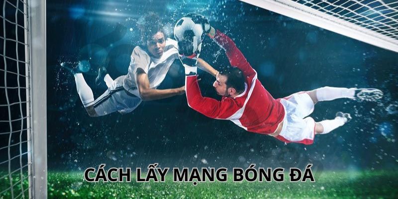 Tham khảo nhưng không phụ thuộc vào tipster