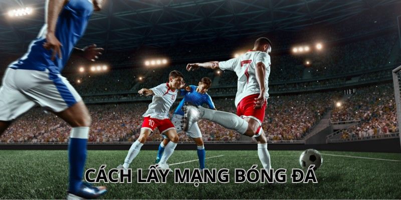Cách lấy mạng bóng đá cực chuẩn cho bet thủ