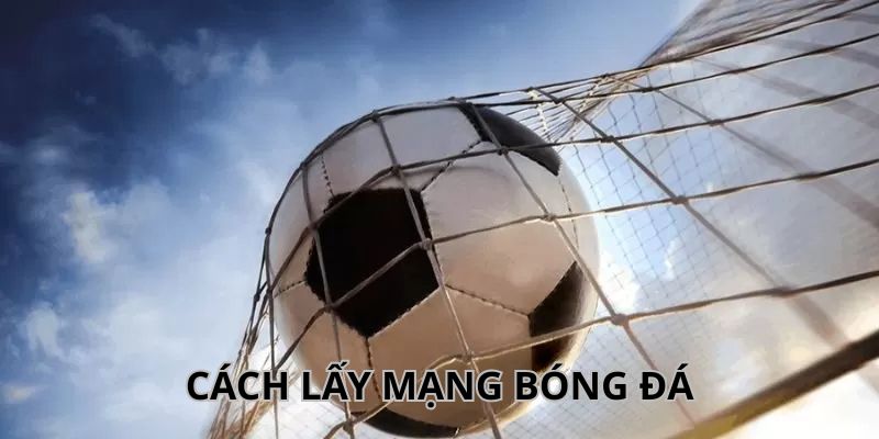 Mạng bóng đá là gì?