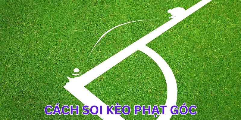 Cập nhật đội hình ra sân và tình hình lực lượng