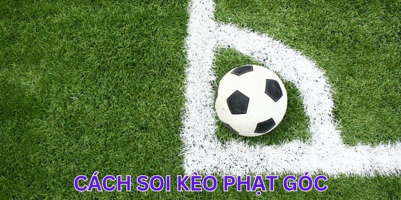 Tầm quan trọng của soi kèo phạt góc khi cá cược