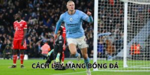 Cách Lấy Mạng Bóng Đá Cực Chuẩn, Nhanh Chóng Cho Bet Thủ