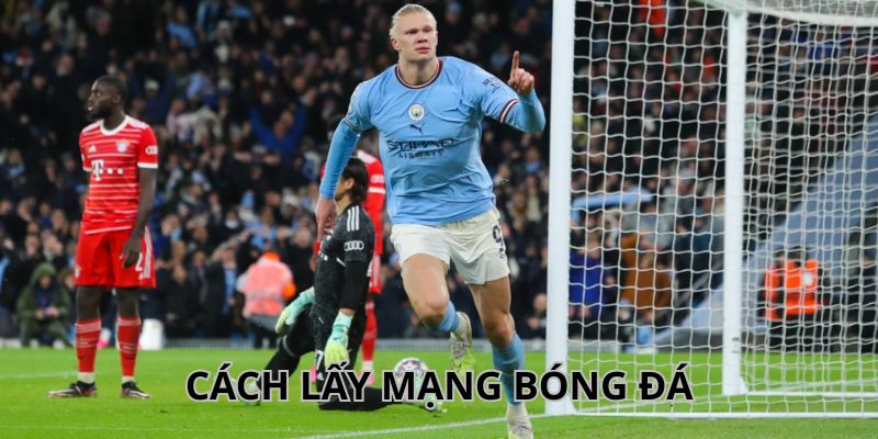 Cách Lấy Mạng Bóng Đá Cực Chuẩn, Nhanh Chóng Cho Bet Thủ