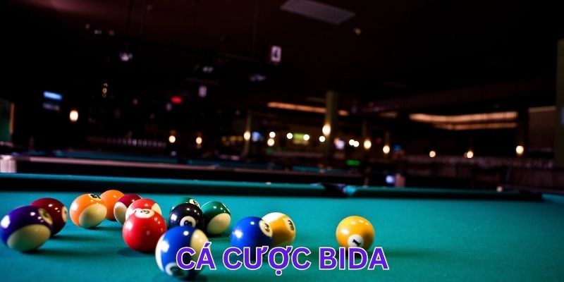 Cá Cược Bida - Bí Quyết Đỉnh Cao Mà Bet Thủ Không Thể Bỏ Lỡ