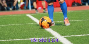 Tài Xỉu 1 1/4 - Kinh Nghiệm Soi Kèo Đơn Giản, Chuẩn Xác Cho Bet Thủ