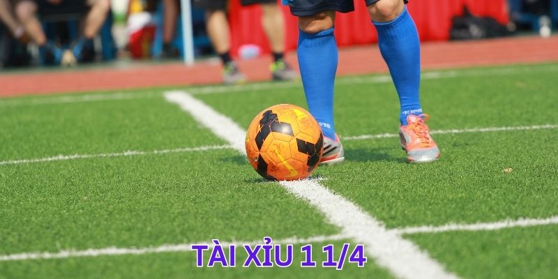 Tài Xỉu 1 1/4 - Kinh Nghiệm Soi Kèo Đơn Giản, Chuẩn Xác Cho Bet Thủ