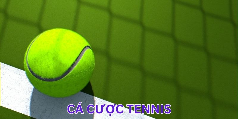 Kinh nghiệm giúp bet thủ thắng lớn khi tham gia cá cược tennis