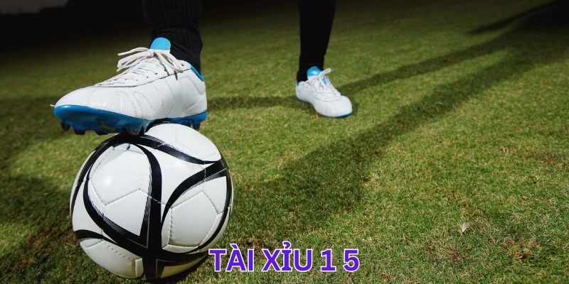 Tài Xỉu 1.5 - Kinh Nghiệm Giúp Anh Em Thắng Lớn Khi Chơi Kèo