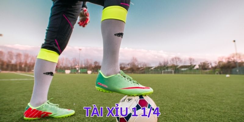 Thời tiết và sân bãi ảnh hưởng rất lớn trong kèo tài xỉu 1 1/4