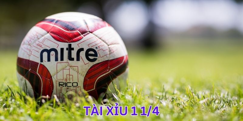 Kinh nghiệm soi kèo tài xỉu 1 1/4 đơn giản dễ dàng thắng lớn