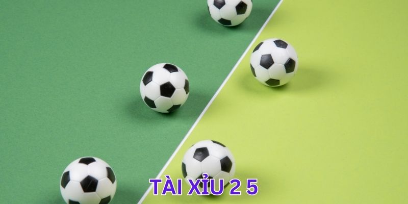 Tài Xỉu 2 5 - Kinh Nghiệm Tham Gia Giúp Anh Em Trúng Lớn