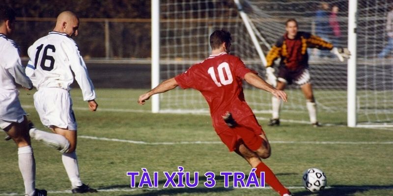 Vài nét cơ bản nhất về tài xỉu 3 trái