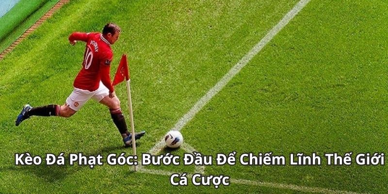 Giới thiệu về thể loại kèo phạt góc cho người mới