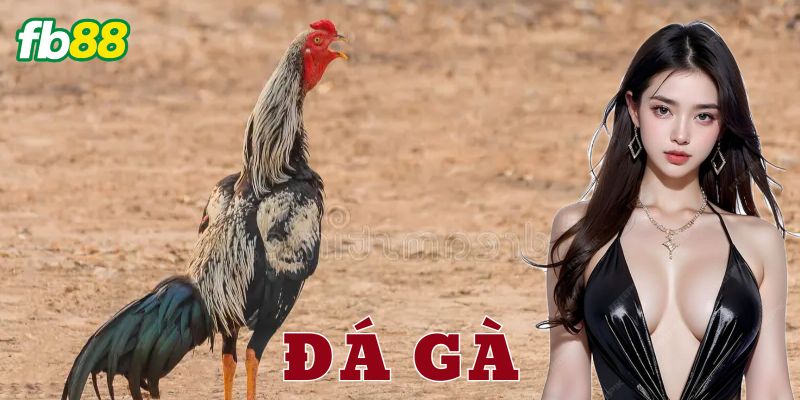 Cách tham gia cá cược đá gà trên FB88