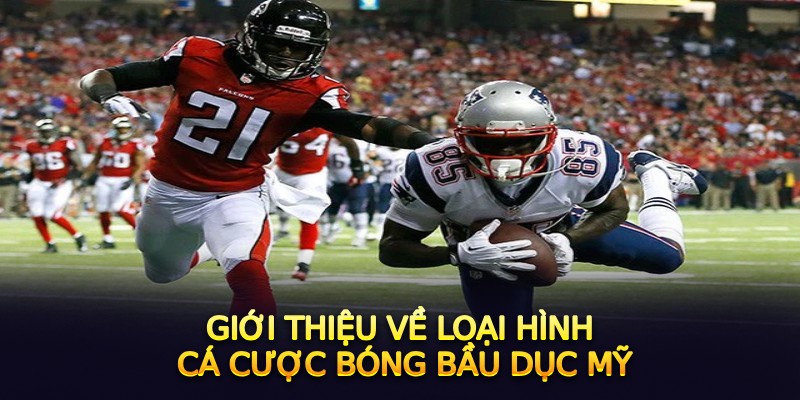 Giới thiệu tổng quan về hình thức cá cược bóng bầu dục FB88