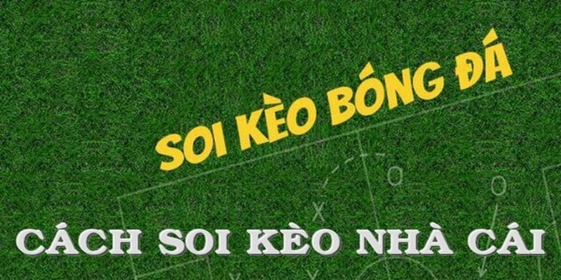 Quy trình thực hiện soi kèo bóng đá FB88