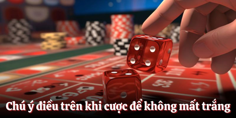 Chú ý các điều trên khi cược để không mất trắng