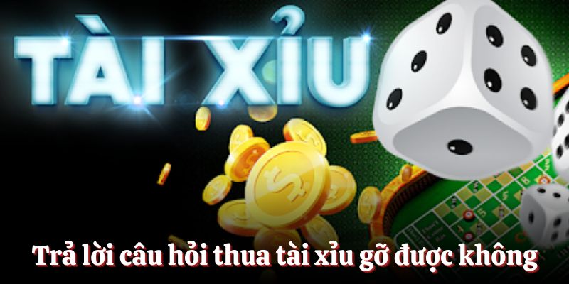 Trả lời câu hỏi thua tài xỉu gỡ được không