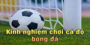 Hướng Dẫn Cách Soi Kèo Bóng Đá Phạt Góc Cực Chuẩn