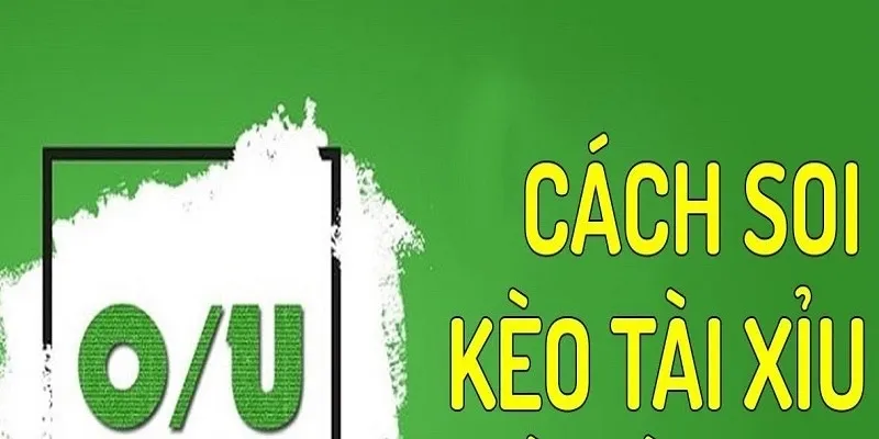 Một vài lưu ý quan trọng khi soi kèo tài xỉu bóng đá