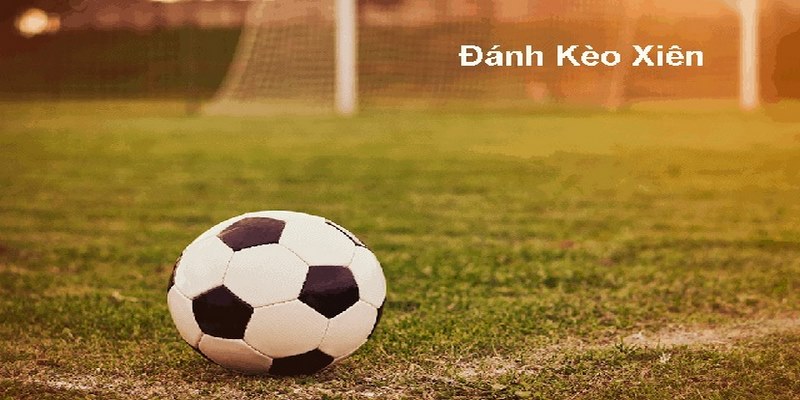 Công thức cược xiên bóng đá tân binh cần biết