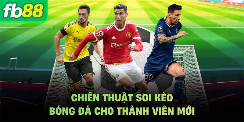 Chiến thuật soi kèo bóng đá cho thành viên mới