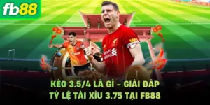 Kèo 3.5/4 Là Gì - Giải Đáp Tỷ Lệ Tài Xỉu 3.75 Tại FB88