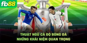 Thuật Ngữ Cá Độ Bóng Đá - Những Khái Niệm Quan Trọng