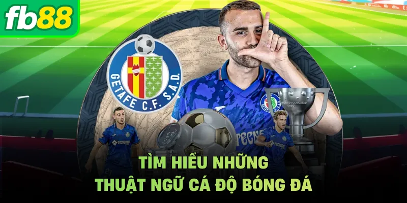 Tìm hiểu những thuật ngữ cá độ bóng đá