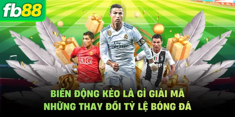 Biến Động Kèo Là Gì Giải Mã Những Thay Đổi Tỷ Lệ Bóng Đá
