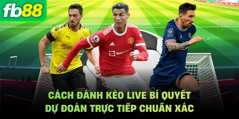 Cách Đánh Kèo Live Bí Quyết Dự Đoán Trực Tiếp Chuẩn Xác