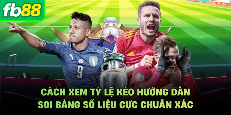 Cách Xem Tỷ Lệ Kèo Hướng Dẫn Soi Bảng Số Liệu Cực Chuẩn Xác