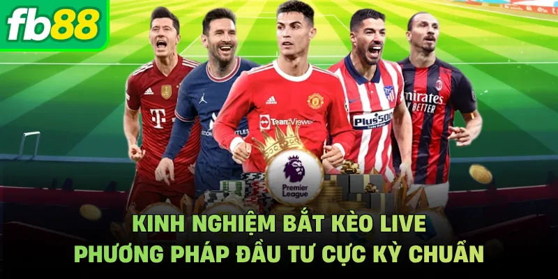 Kinh Nghiệm Bắt Kèo Live Phương Pháp Đầu Tư Cực Kỳ Chuẩn