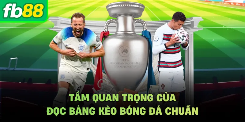 Tầm quan trọng của đọc bảng kèo bóng đá chuẩn