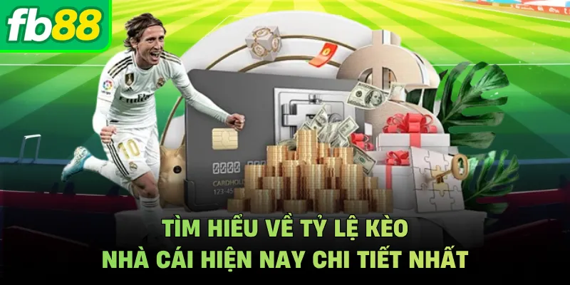 Tìm hiểu về tỷ lệ kèo nhà cái hiện nay chi tiết nhất
