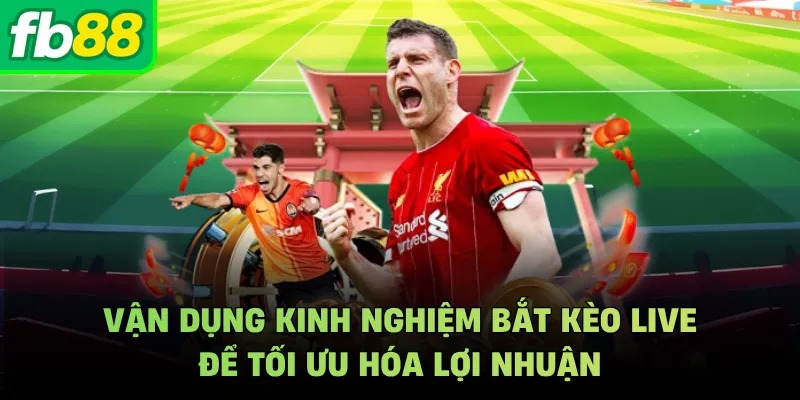 Vận dụng kinh nghiệm bắt kèo live để tối ưu hóa lợi nhuận