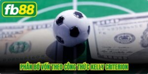 Phân Bổ Vốn Theo Công Thức Kelly Criterion