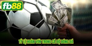 Tỷ Lệ Hoàn Vốn Trong Cá Độ Bóng Đá